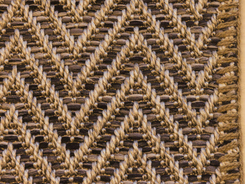 Zidis Vandewiele Titan Samples Foto 117