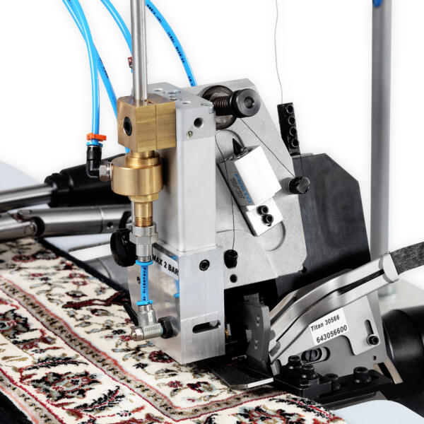 IMG 0098 fond transparent ombre